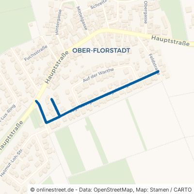 Vogelsbergstraße 61197 Florstadt Ober-Florstadt 