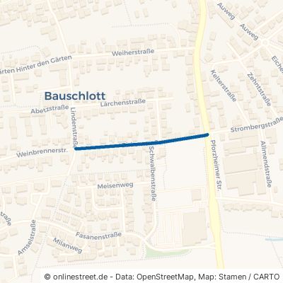 Birkenstraße Neulingen Bauschlott 