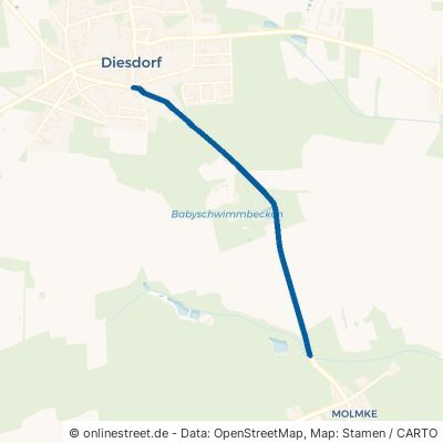 Molmker Straße Diesdorf Abbendorf 
