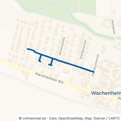 Römerstraße Wachenheim 