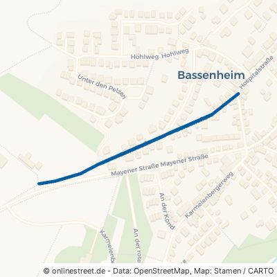 Gensstraße Bassenheim 