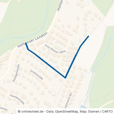 Wilhelm-Raabe-Straße 31787 Hameln Am Schöt 