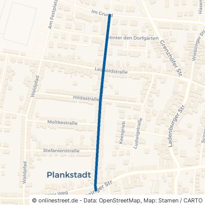 Wilhelmstraße 68723 Plankstadt 