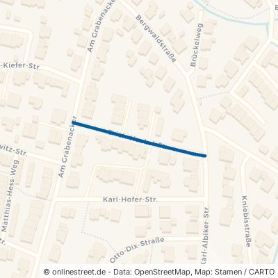 Erich-Heckel-Straße 76275 Ettlingen Ettlingenweier Ettlingenweier