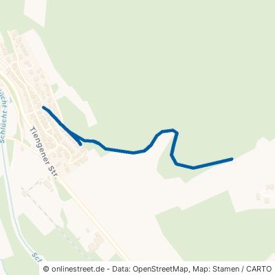 Osterwiesenweg Waldshut-Tiengen Gurtweil 
