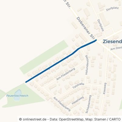 Wiesenweg 18059 Ziesendorf 