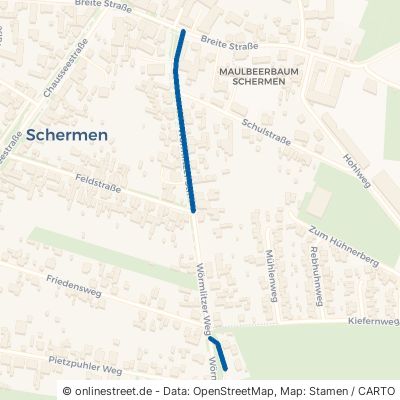 Wörmlitzer Straße Möser Schermen 