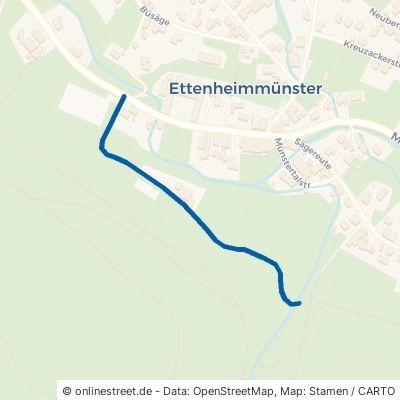 Alleeweg Ettenheim Ettenheimmünster 