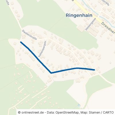 Waldstraße 01904 Steinigtwolmsdorf Ringenhain 