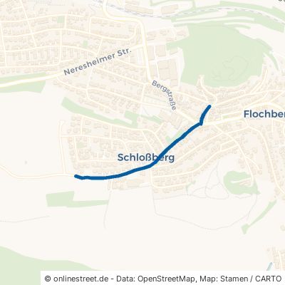 Buchfeldstraße Bopfingen Schloßberg 