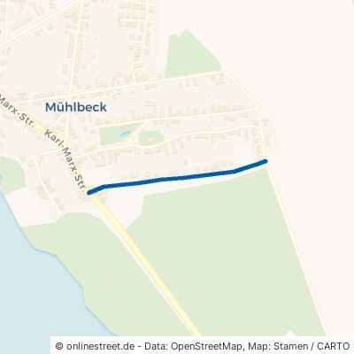 Südstraße Muldestausee Mühlbeck 