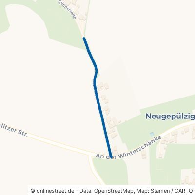 Zetteritzer Straße Erlau Neugepülzig 