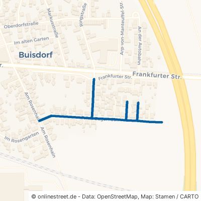 Prinz-Eugen-Straße 53757 Sankt Augustin Buisdorf Buisdorf