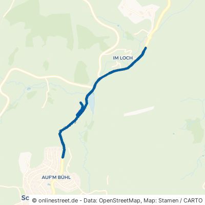Triberger Straße Schönwald im Schwarzwald 