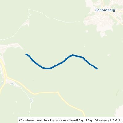 Tannweg Bad Wildbad Calmbach 
