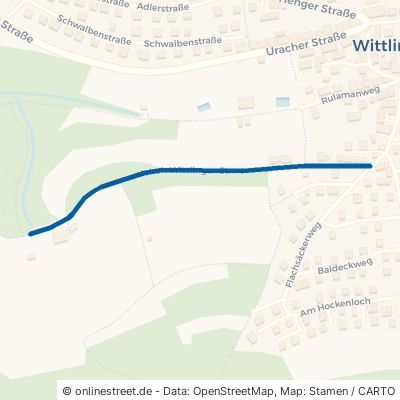 Hohen-Wittlinger-Str. Bad Urach Wittlingen 