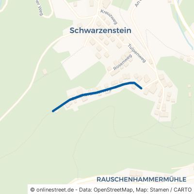 Schönbrunner Weg Schwarzenbach am Wald Schwarzenstein 