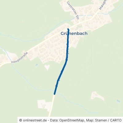 Bergstraße 88167 Grünenbach Schönau 
