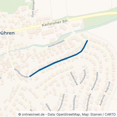 Tiefer Weg Sinsheim Dühren 