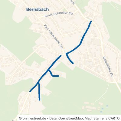 Lauterer Straße Lauter-Bernsbach Bernsbach 