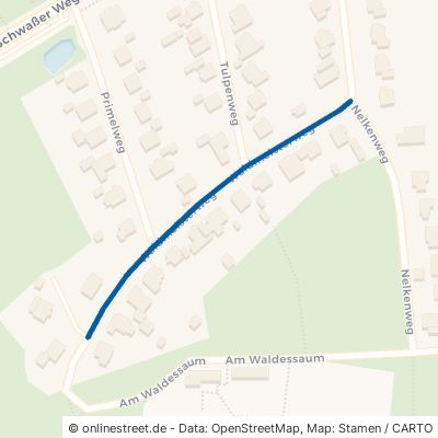 Waldmeisterweg Rostock Gartenstadt/Stadtweide 