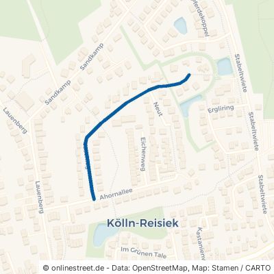 Toschlag Kölln-Reisiek 