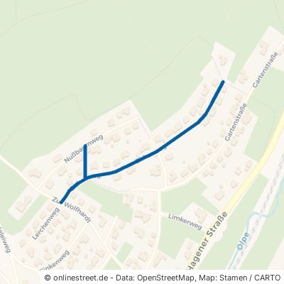 Birkenweg 57399 Kirchhundem Welschen Ennest 