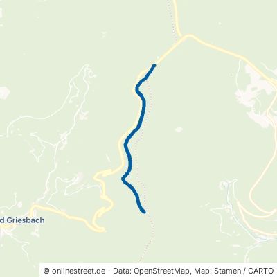 Neuer Höhenweg Bad Peterstal-Griesbach Bad Griesbach 