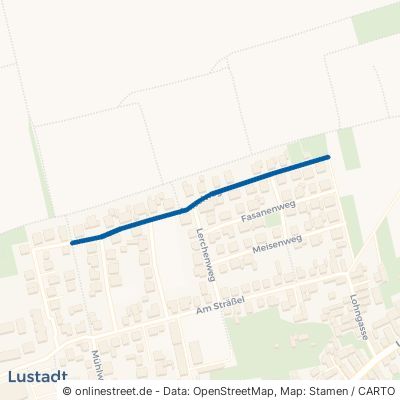 Amselweg Lustadt Niederlustadt 