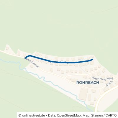 Bürgermeister-Volk-Weg Furtwangen im Schwarzwald Rohrbach 