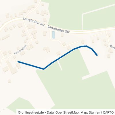 Grundweg 26842 Ostrhauderfehn Langholt 