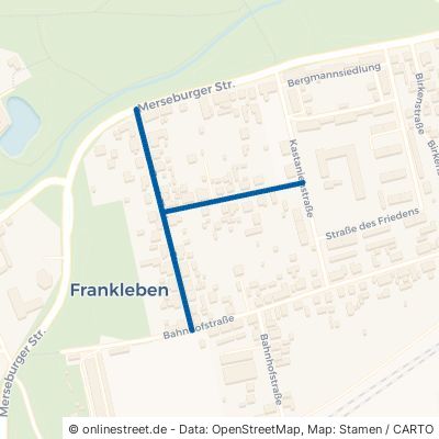 Ernst-Thälmann-Straße 06259 Braunsbedra Frankleben 