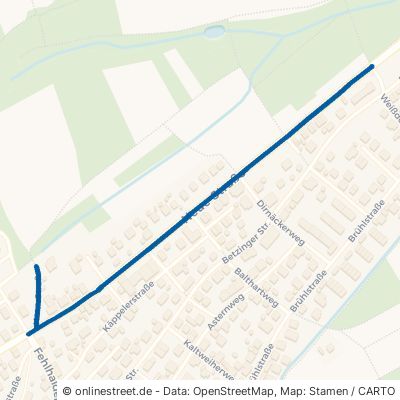 Neue Straße Reutlingen Ohmenhausen 