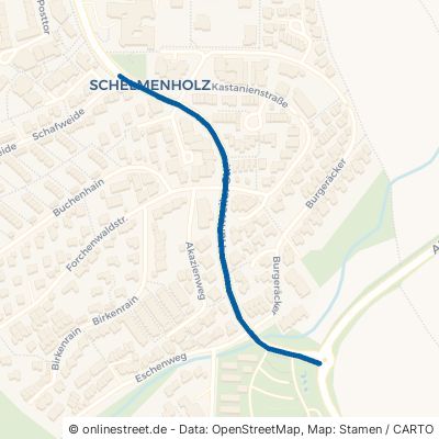 Hanweiler Straße Winnenden Schelmenholz 