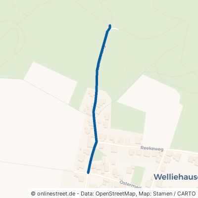 Süntelhang Hameln Welliehausen 