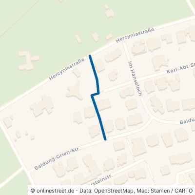 Emil-Bizer-Weg Pforzheim Südweststadt 
