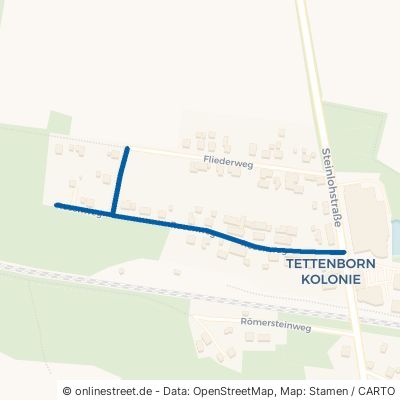 Rosenweg Bad Sachsa Tettenborn-Kolonie 