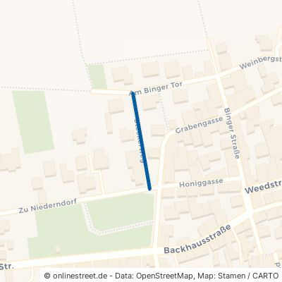 Steckerweg 55457 Horrweiler 