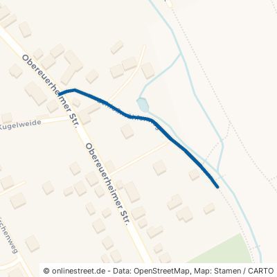 Schloßmühlenweg 97508 Grettstadt Untereuerheim 