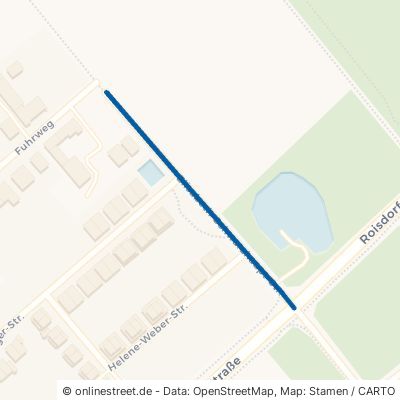 Elisabeth-Schwarzhaupt-Straße 53332 Bornheim Roisdorf 