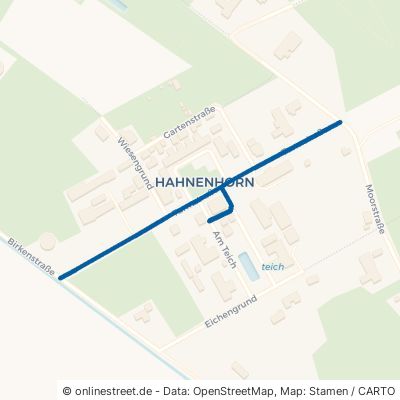 Turmstraße Müden Hahnenhorn 