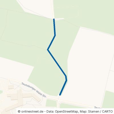 Kollweg Bad Rothenfelde 