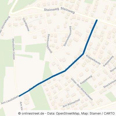 Doktor-Josef-Gutmann-Straße Amöneburg 