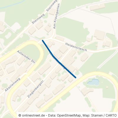 Schullandweg 34626 Neukirchen Asterode 