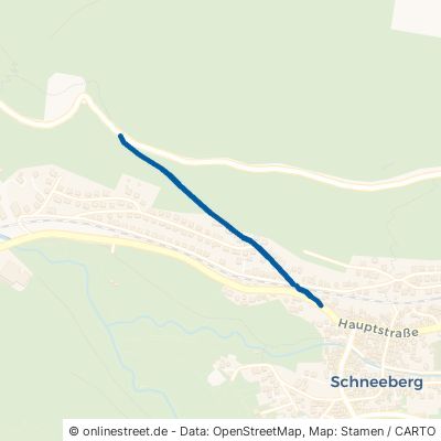 Neudorfer Straße Schneeberg 