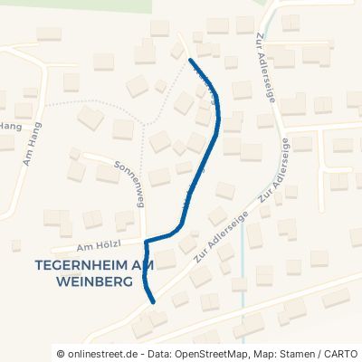 Waldweg Tegernheim 