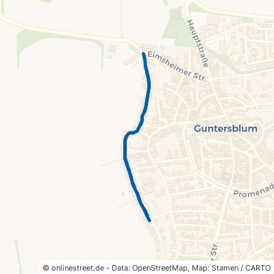 Kellerweg Guntersblum 