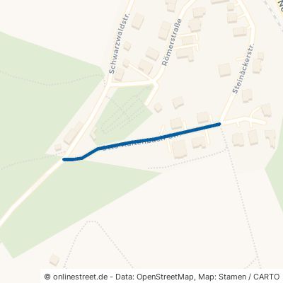 Otto-Kaltenbach-Straße 72172 Sulz am Neckar Fischingen 