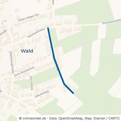 Weidenweg Bad Münstereifel Wald 
