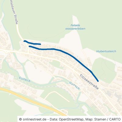 Schottenbühlstraße Titisee-Neustadt Neustadt 